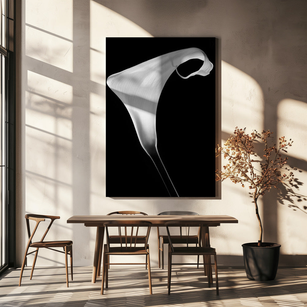 Calla | Leinwand-Bilder