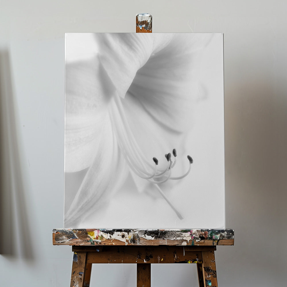 White on White | Canvas