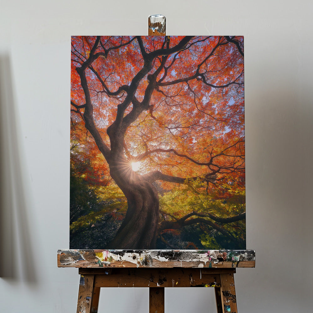 The Japanese Tree | Canvas