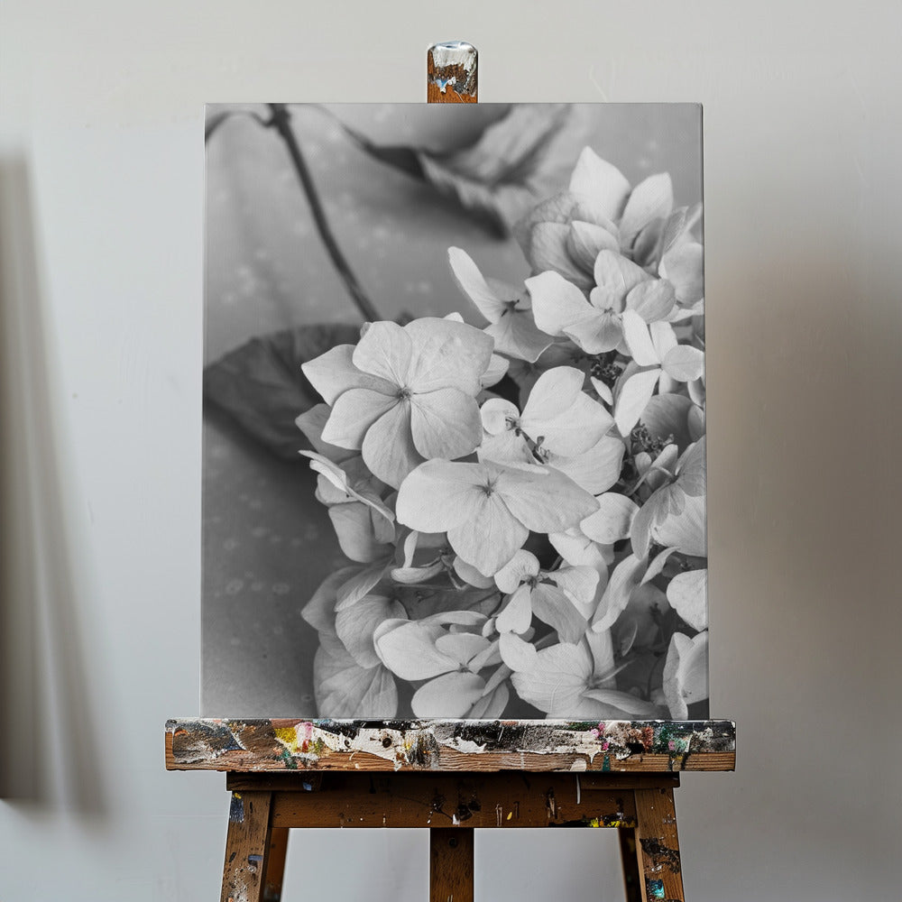 Piatto con fiori secchi_bianco e nero | Stampe su Tela