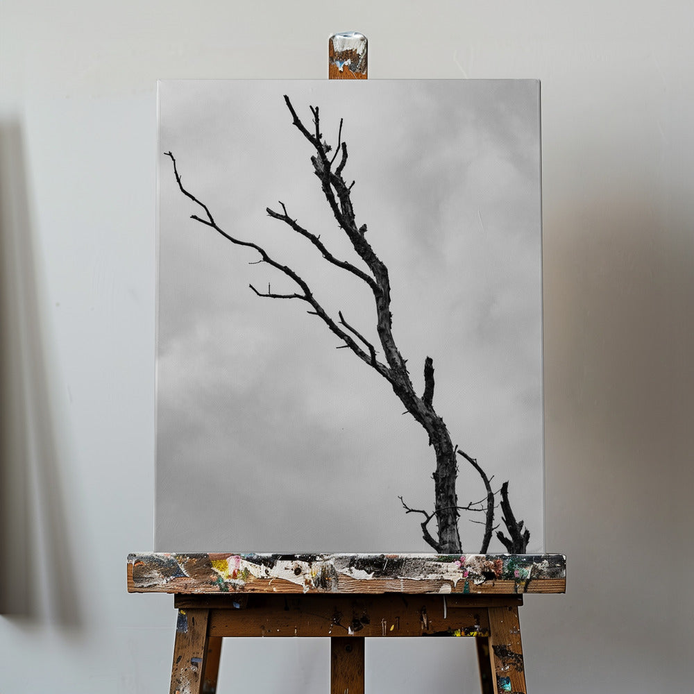 I'm not leaving without a fight | Canvas