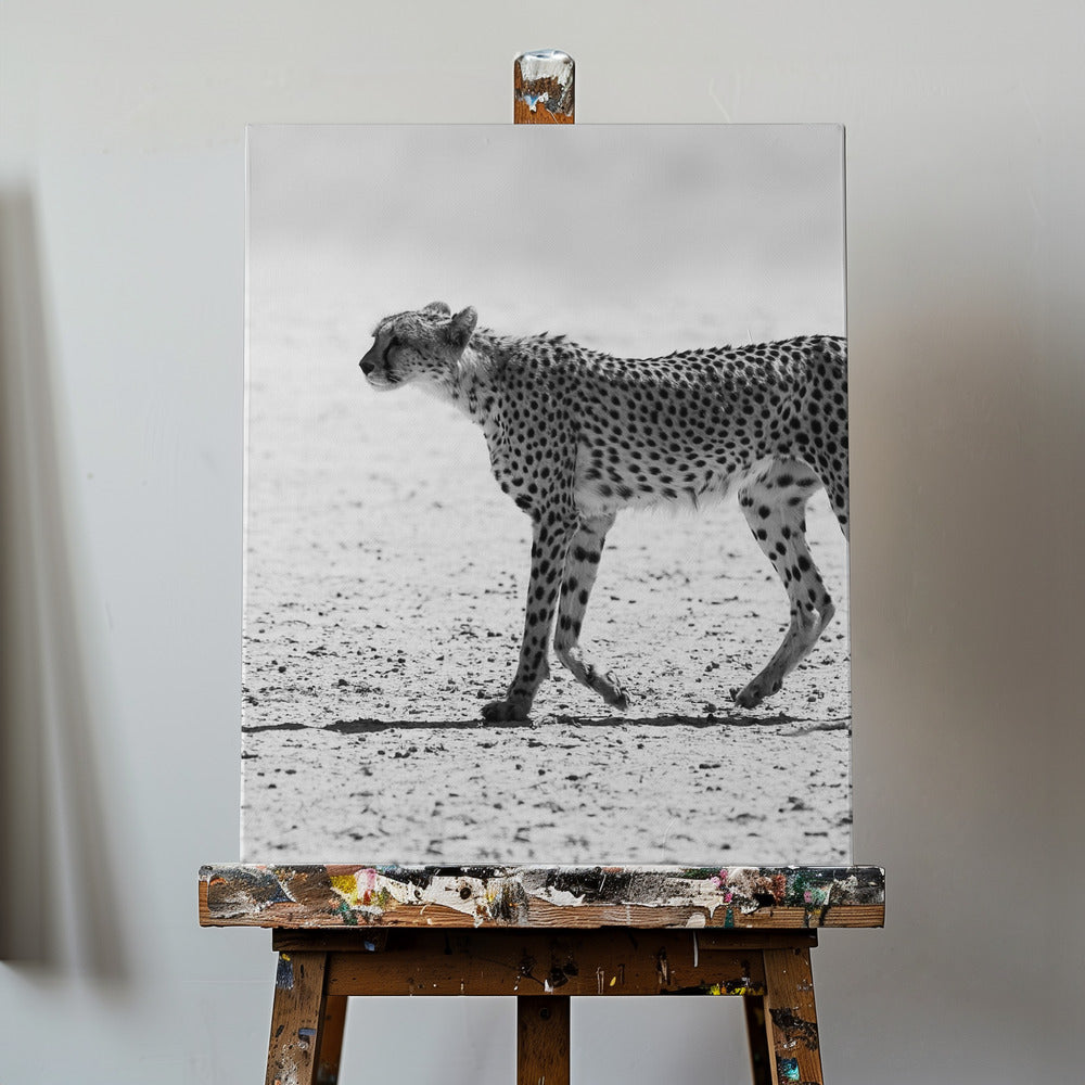 Gepard | Lærredsbilleder