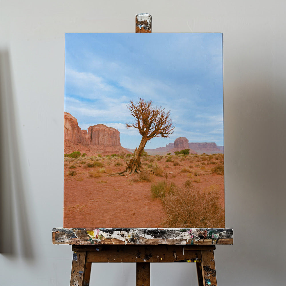 Monument Valley XI | Leinwand-Bilder