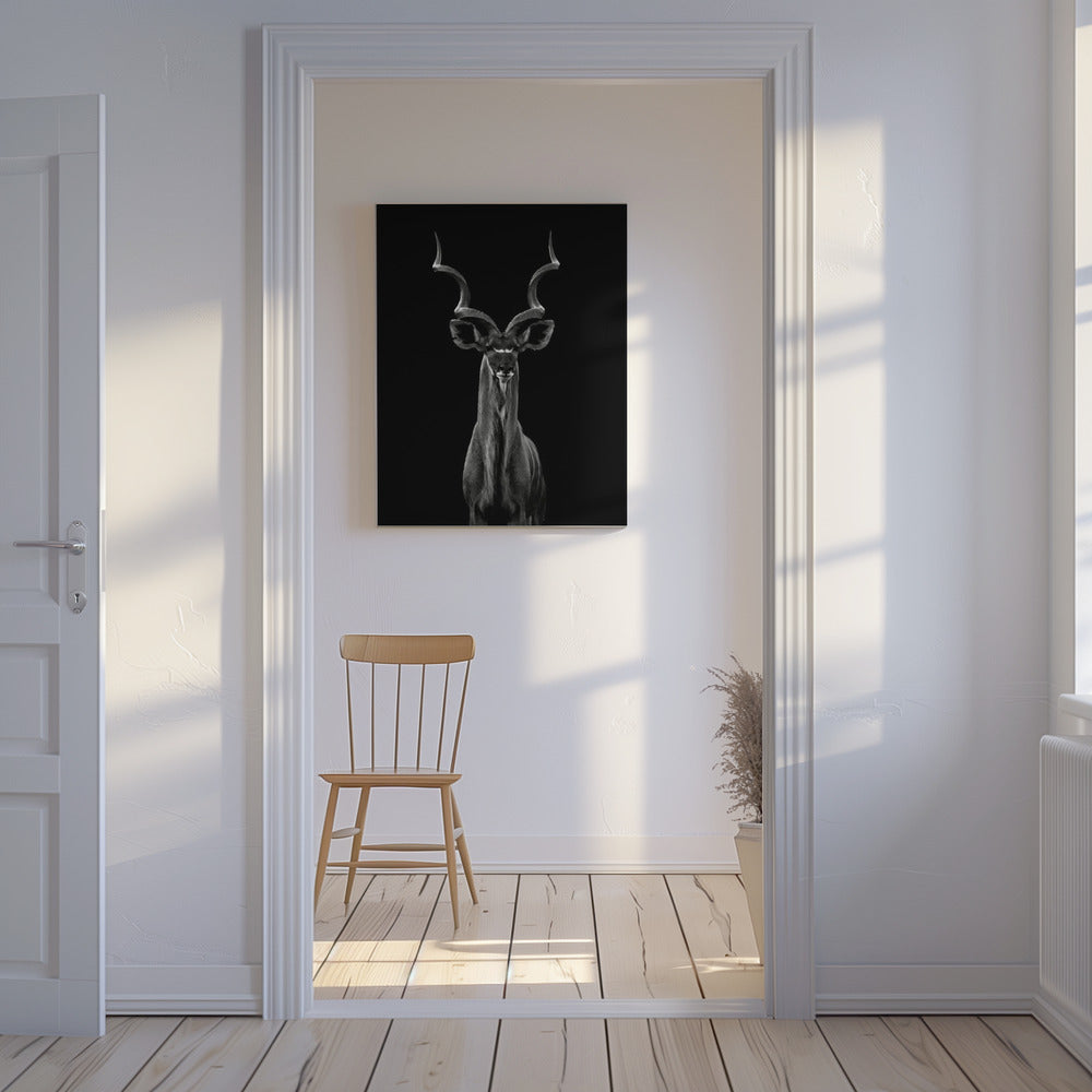 Kudu maggiore | Stampe su Tela