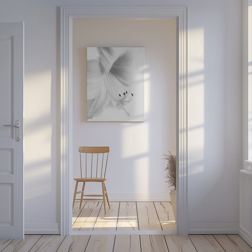 White on White | Canvas