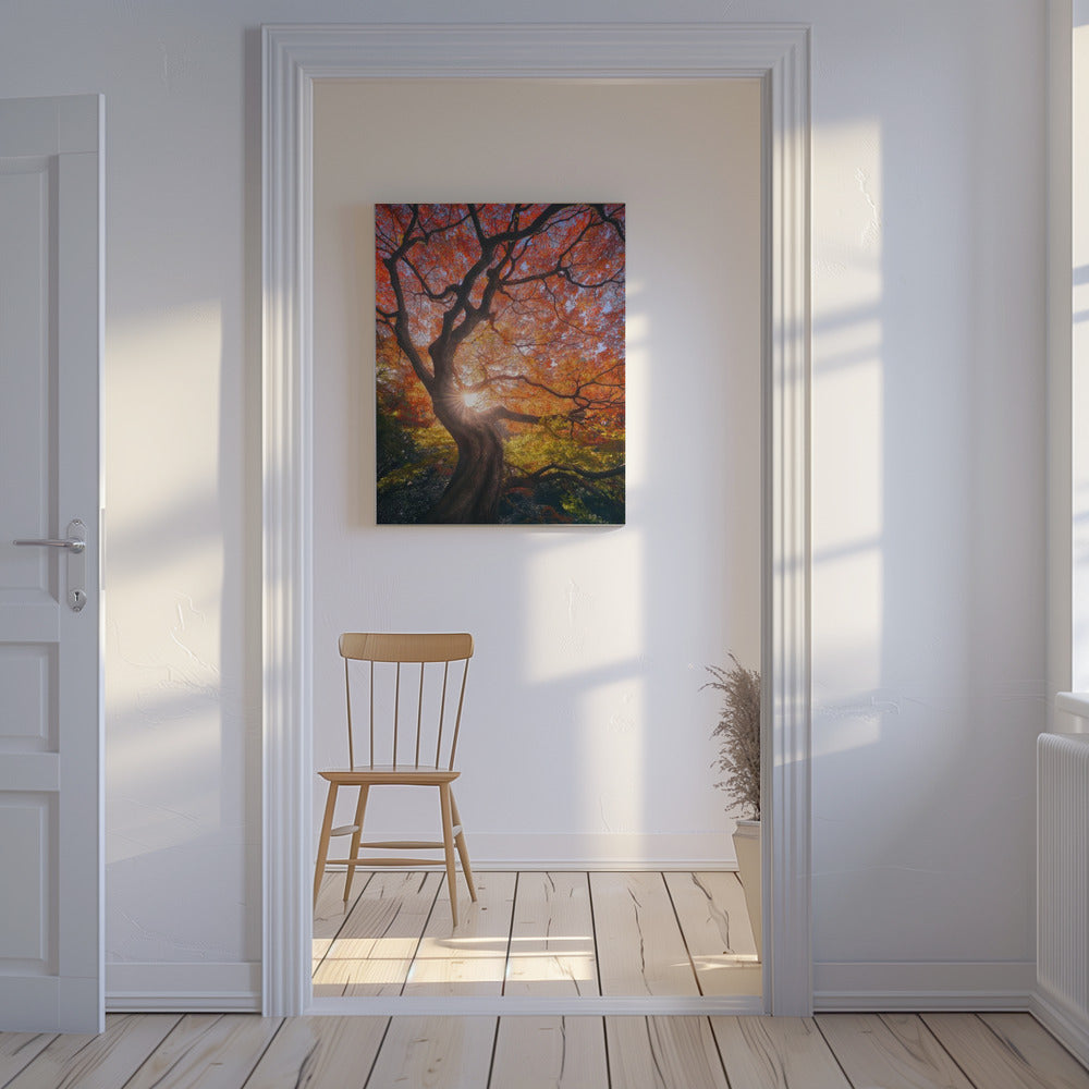 The Japanese Tree | Canvas