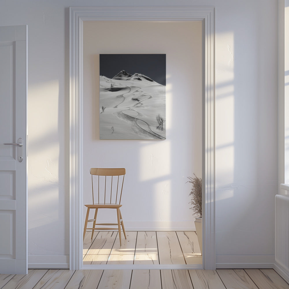 freeride | Canvas