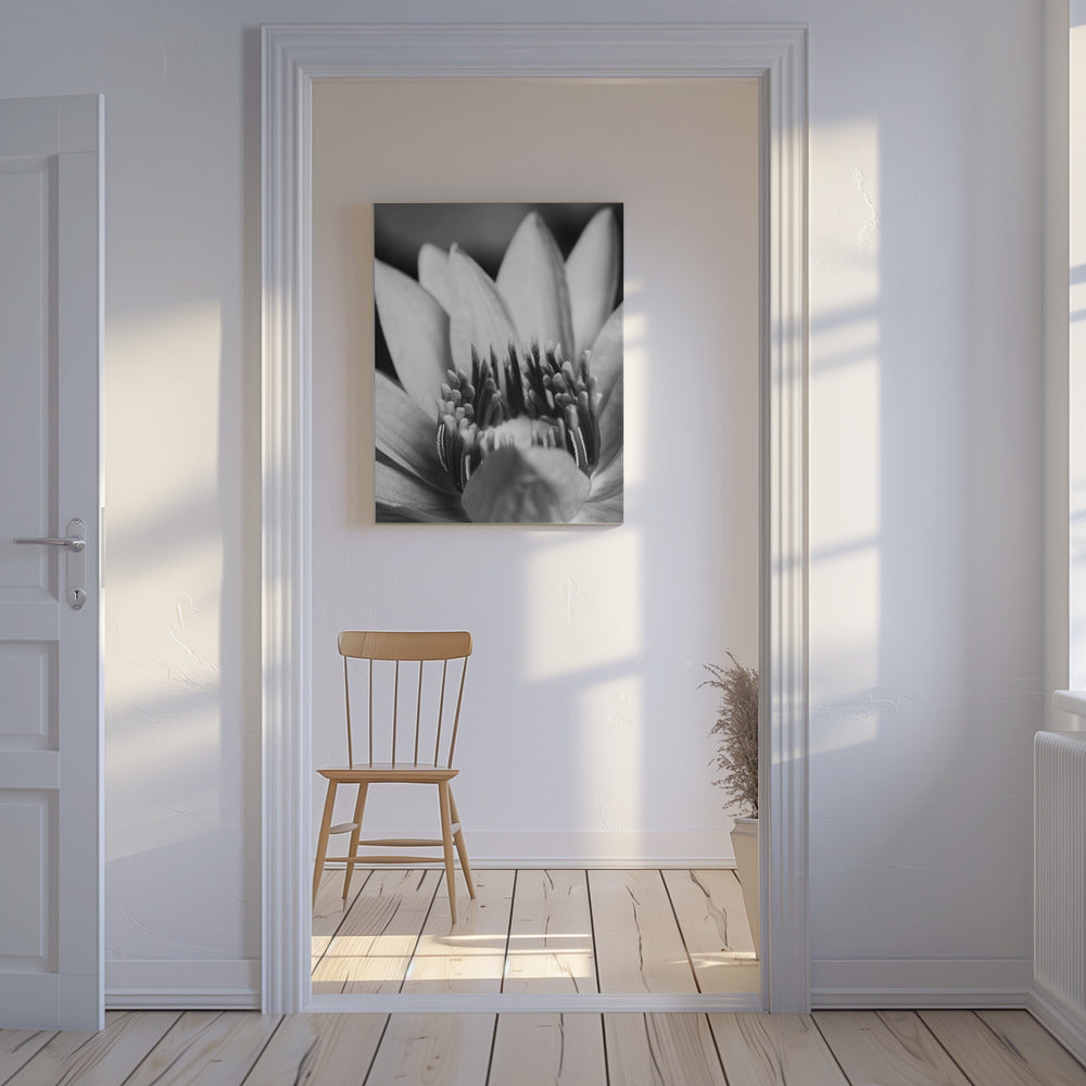Blume, Nahaufnahme | Leinwand-Bilder