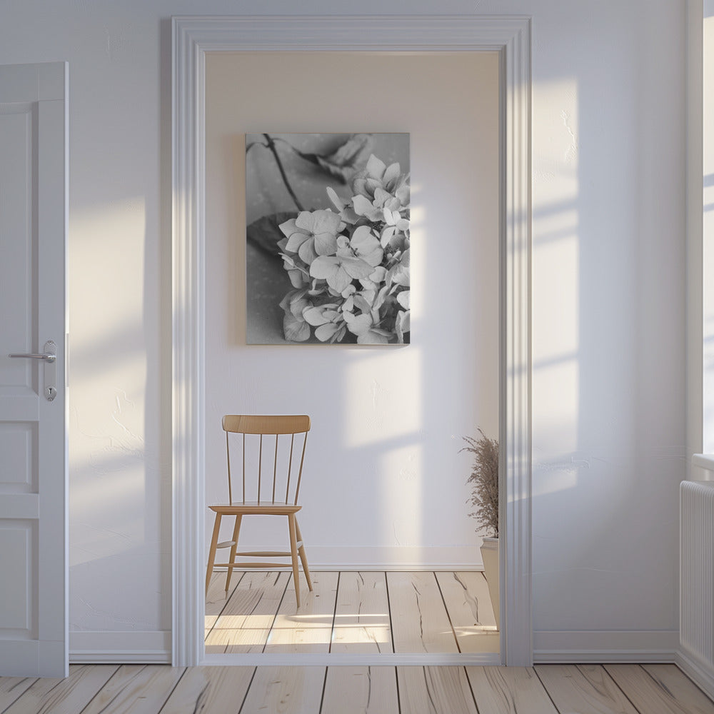 Piatto con fiori secchi_bianco e nero | Stampe su Tela