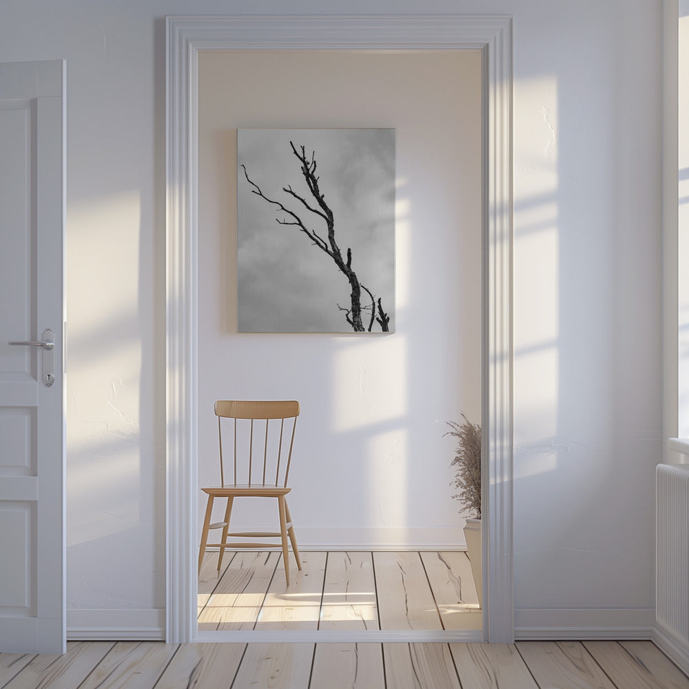 I'm not leaving without a fight | Canvas