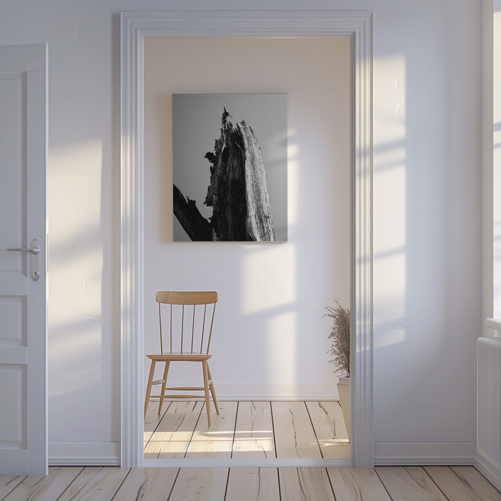 Feuchtgebiete 1 | Leinwand-Bilder