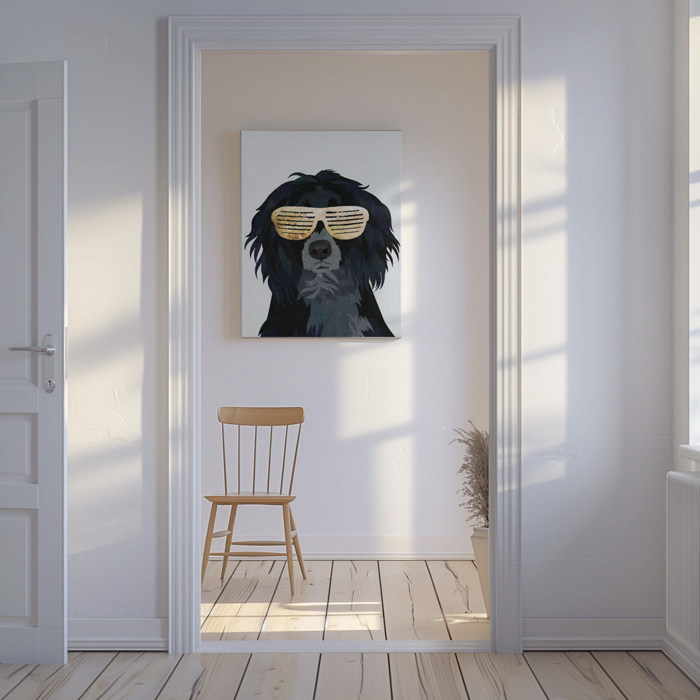 Cockerspaniel hip-hop | Tableaux sur Toile