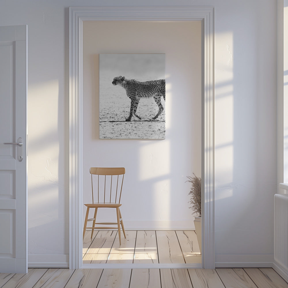 Gepard | Lærredsbilleder