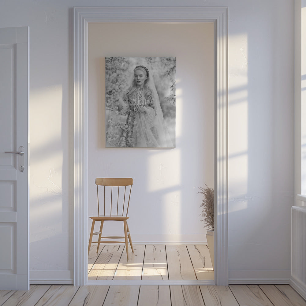 Stassy | Canvas