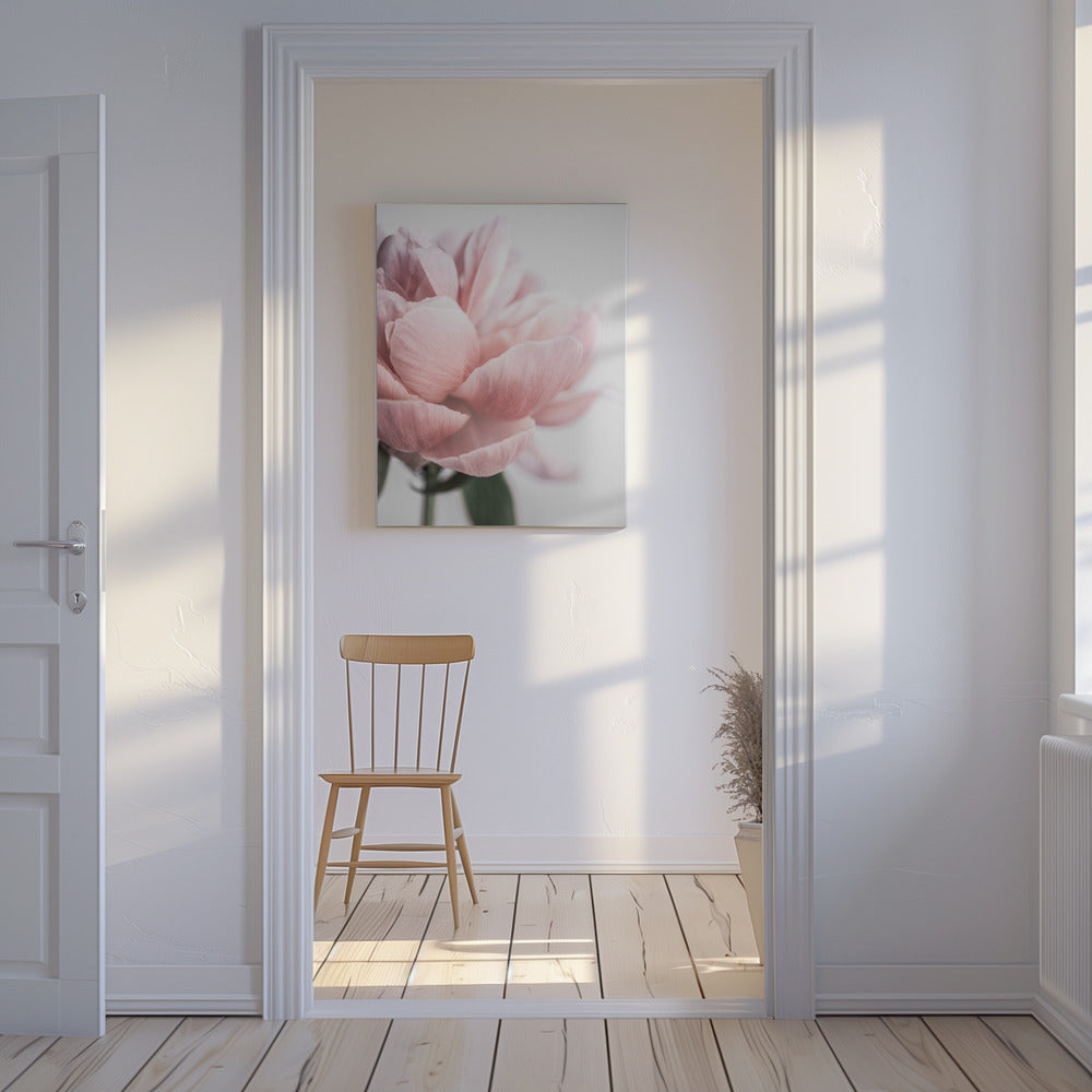 Pion 3 | Canvas
