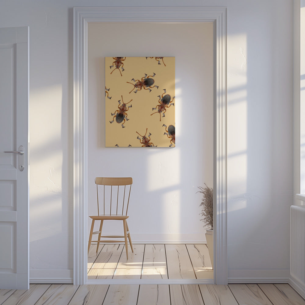 Billy The Booted Beetle | Canvas