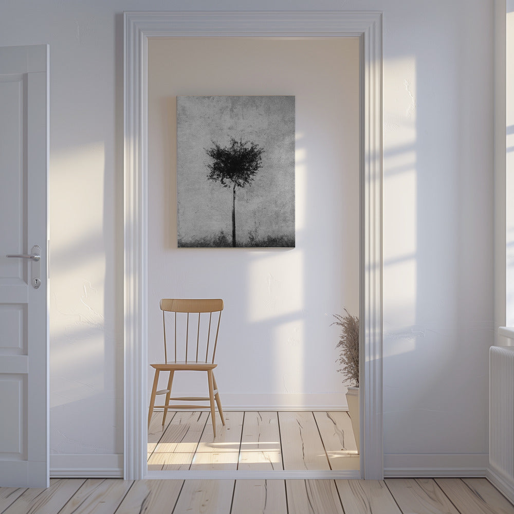 Albero in bianco e nero | Stampe su Tela