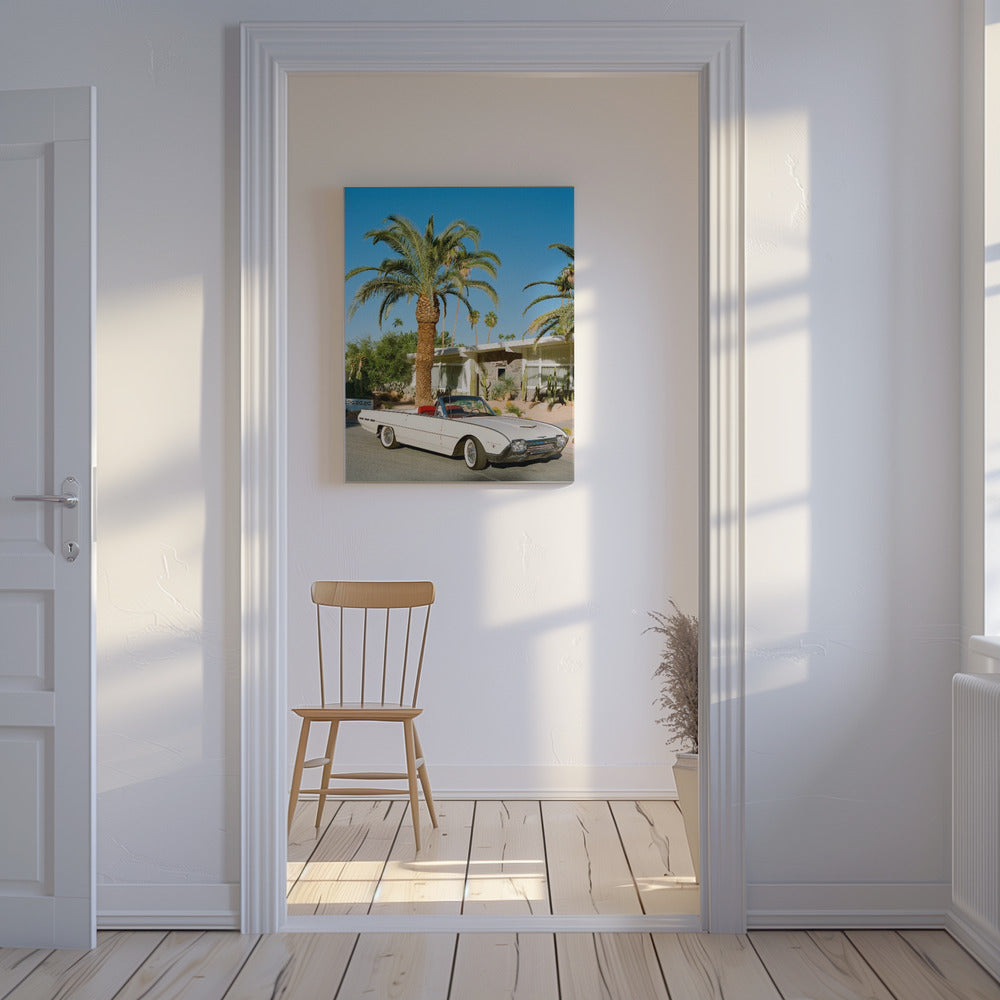 Palm Springs Thunderbird | Canvas