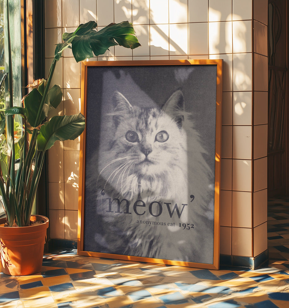 Cita famosa Gato | Posters  - Impresiones de Arte