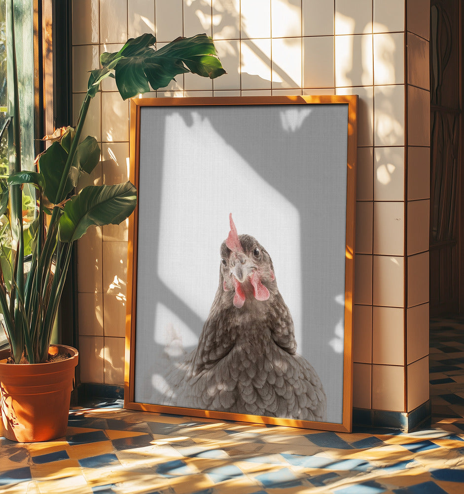 Peekaboo Chook | Poster