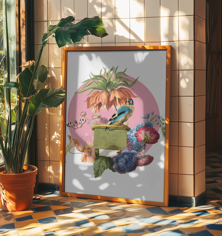 Colorful Bird Perched On A Box | Poster