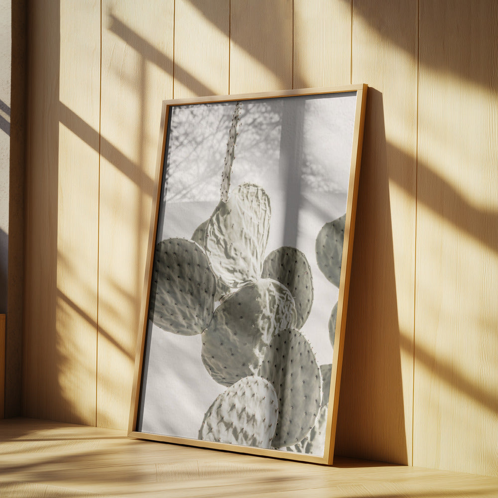 Mexi Catus 02 | Poster