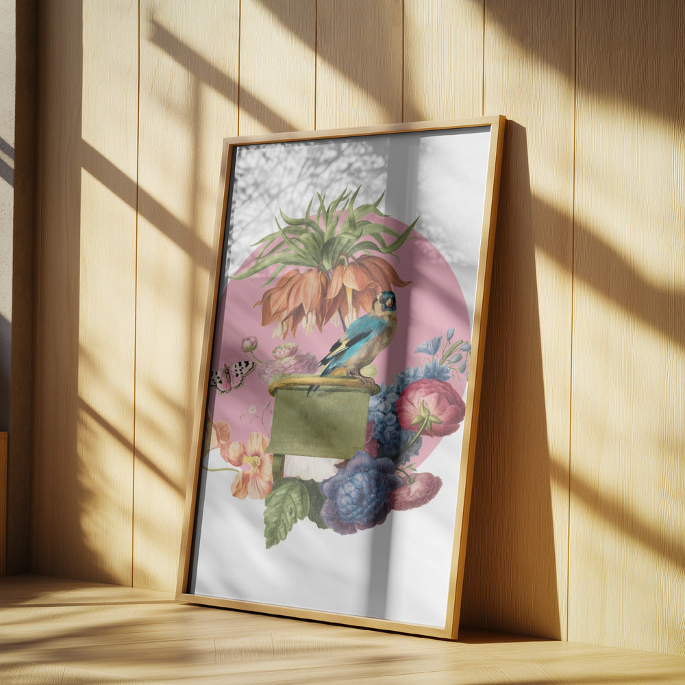 Colorful Bird Perched On A Box | Poster