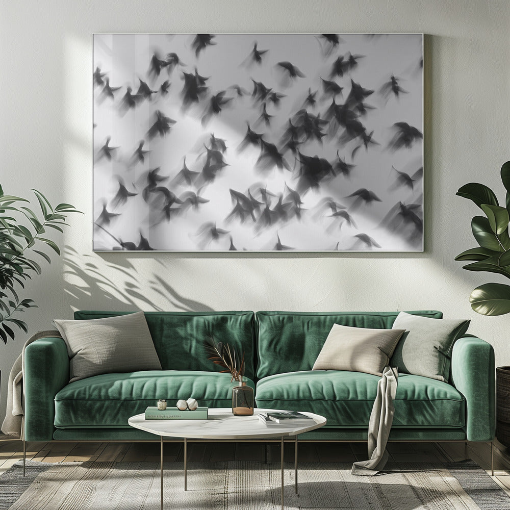 Fåglar | Canvas