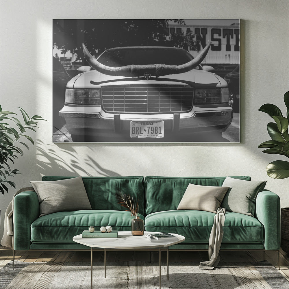 Texas Ride | Canvas