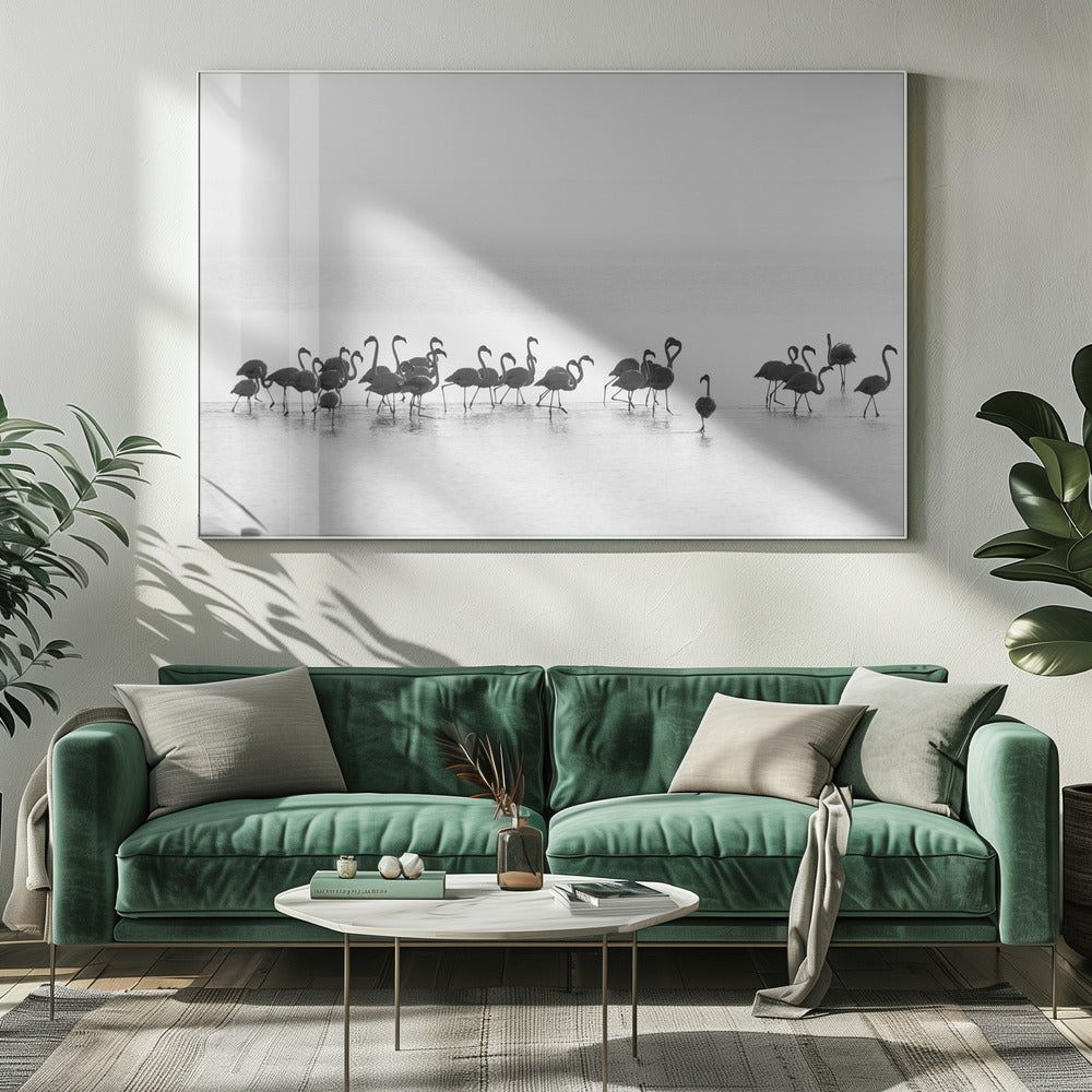 Flamants roses | Tableaux sur Toile