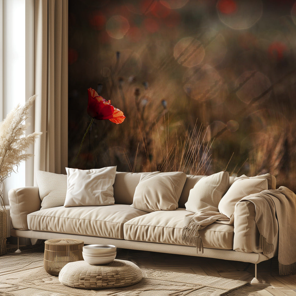Mohn | Fototapeten