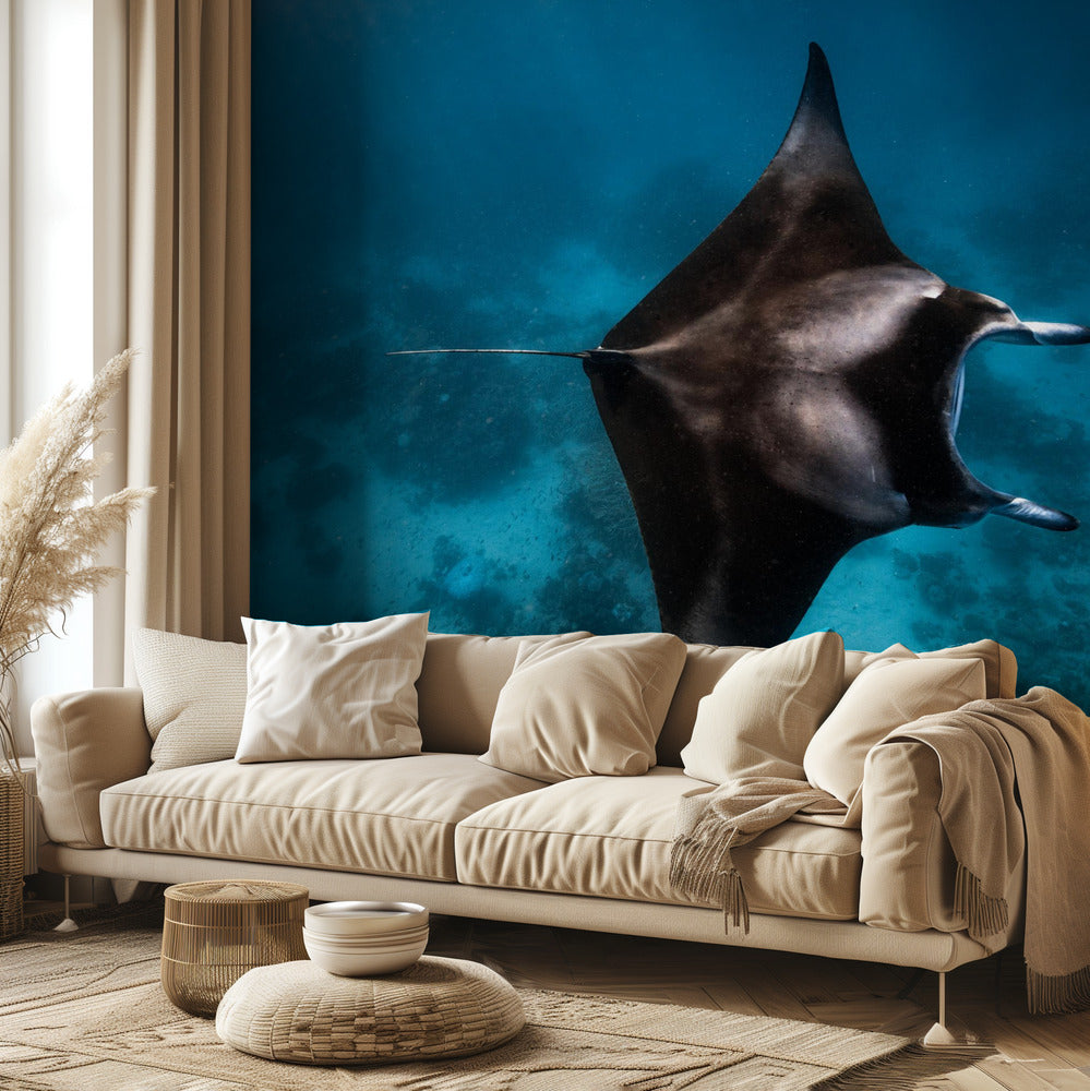 Manta lata!!! | Fototapeta