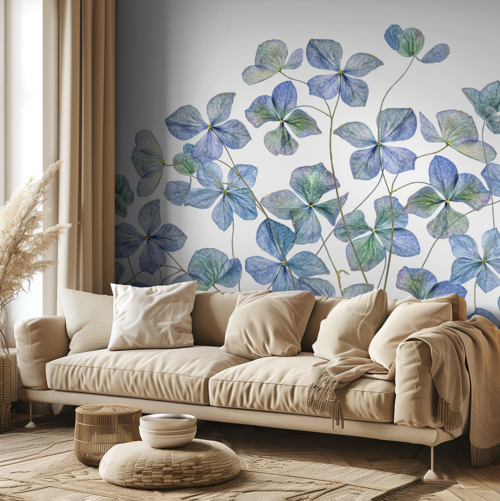 Hortensie | Fototapeten