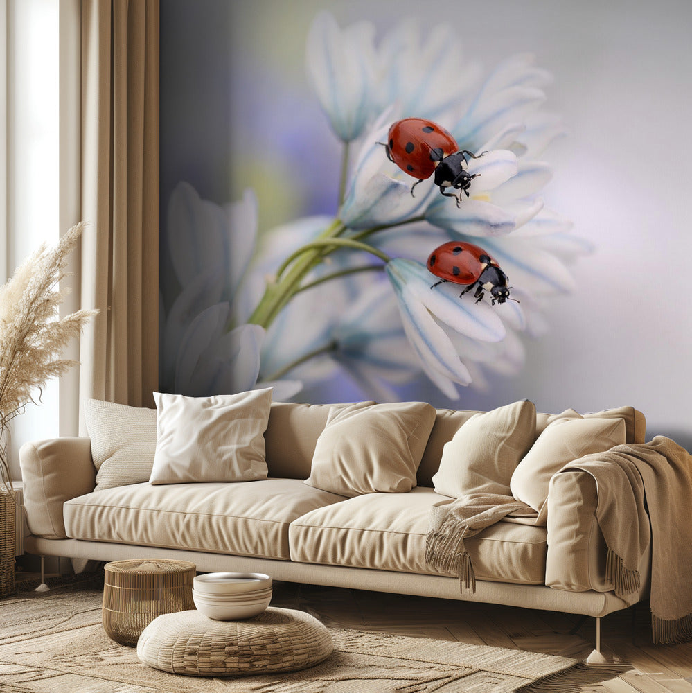 Coccinelles | Papier Peint Photo