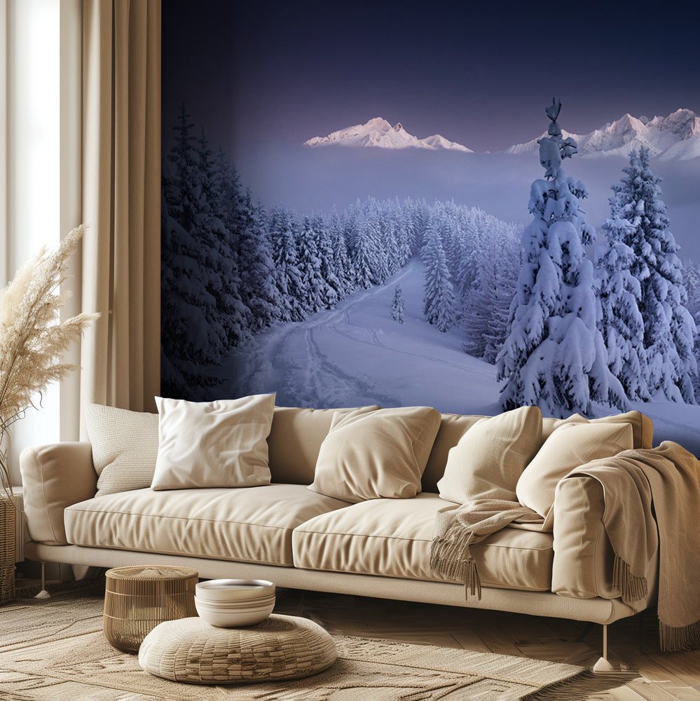 Im Winter | Fototapeten