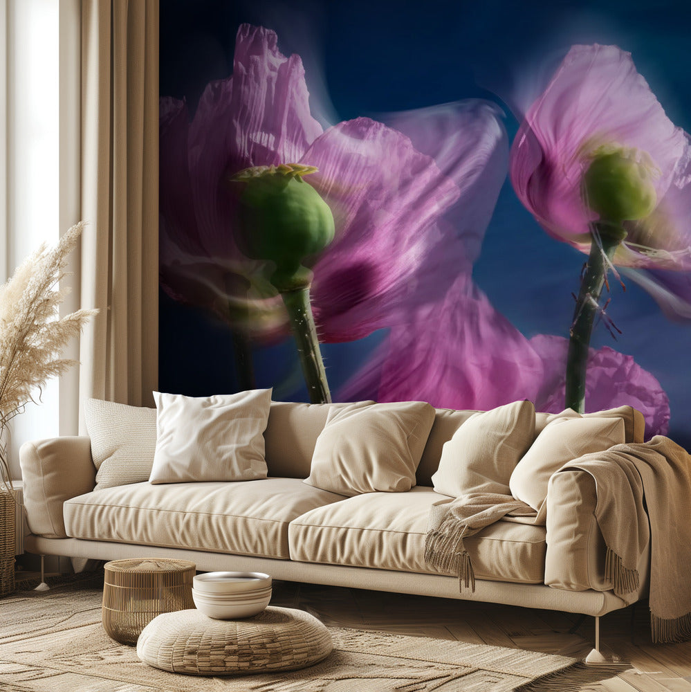 Maki przy drodze | Fototapeta