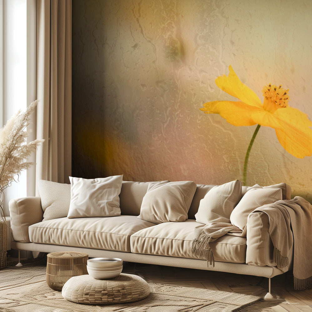 cosmos bajo la lluvia | Papel Pintado Fotográfico