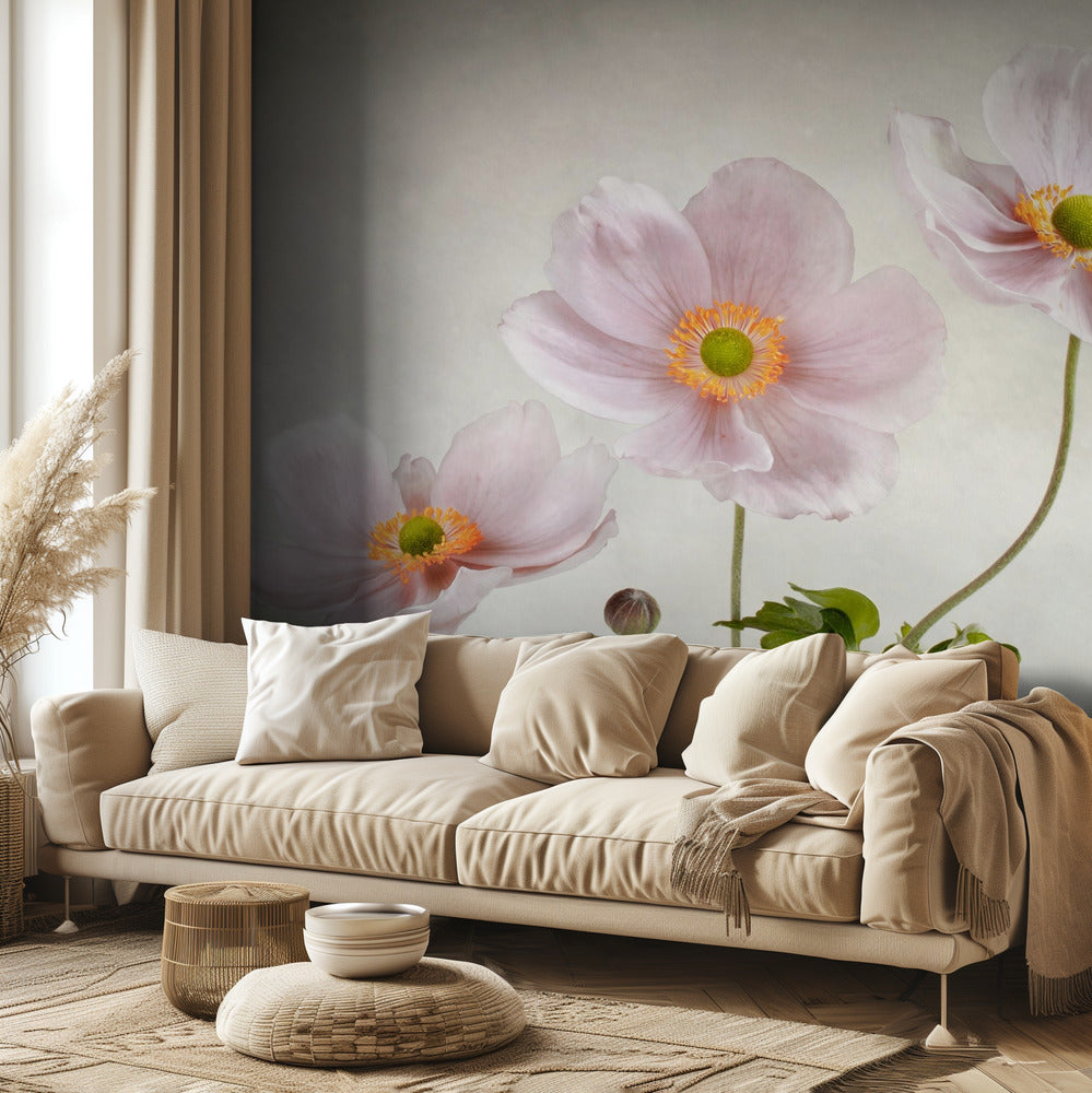 Anemonen | Fotobehang