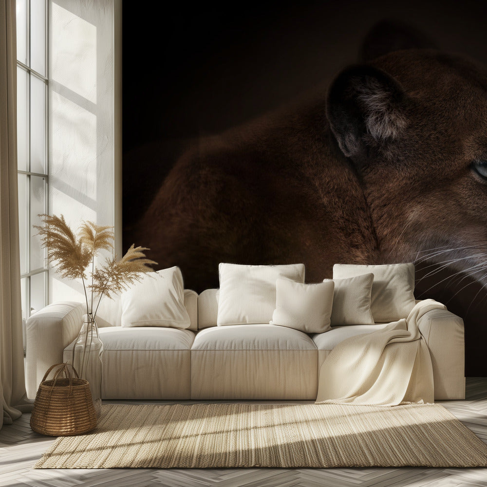 Puma | Carta da Parati Fotografica