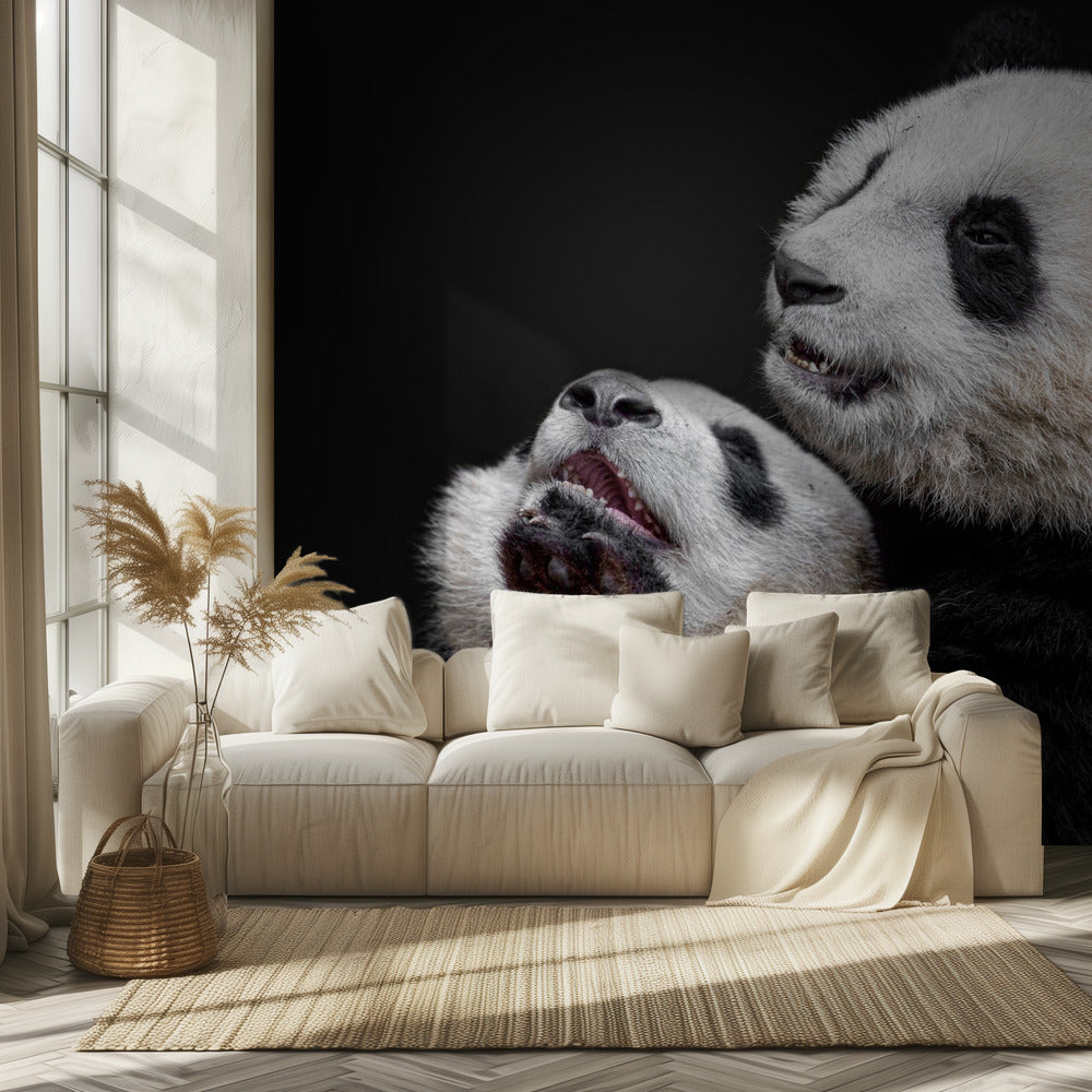 Pandas | Papier Peint Photo
