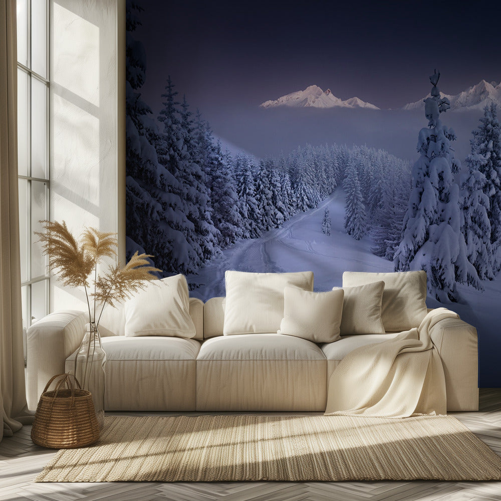 Im Winter | Fototapeten