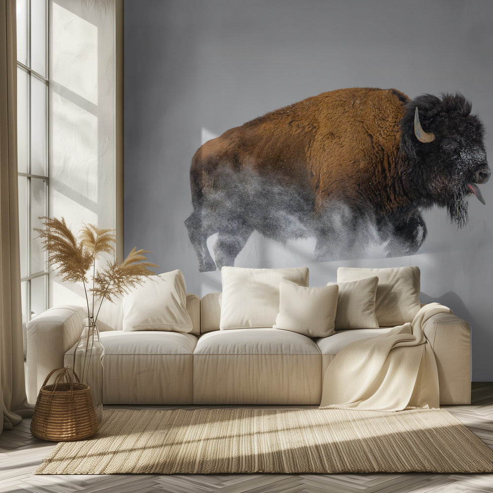 Bison i sneen | Fototapeter