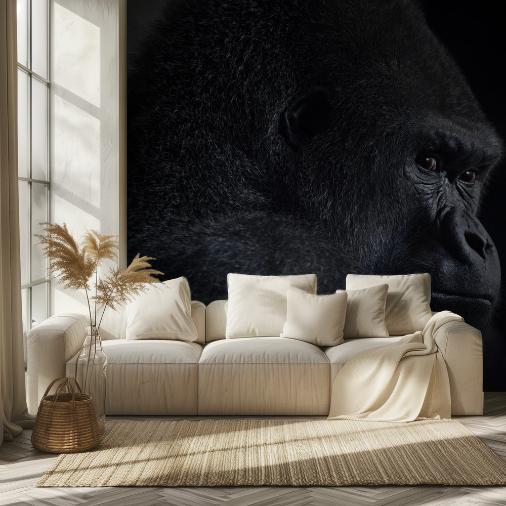 sguardo del gorilla | Carta da Parati Fotografica