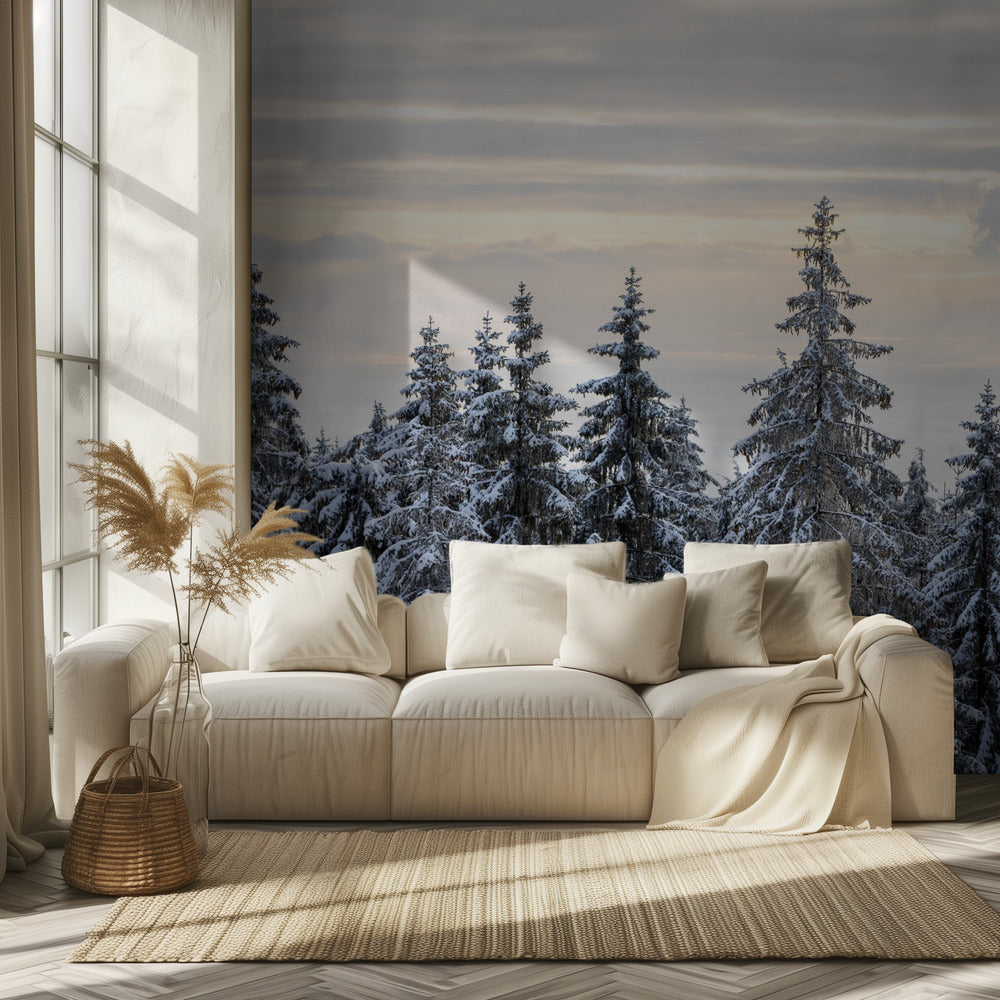 Árboles cubiertos de nieve 8 | Papel Pintado Fotográfico