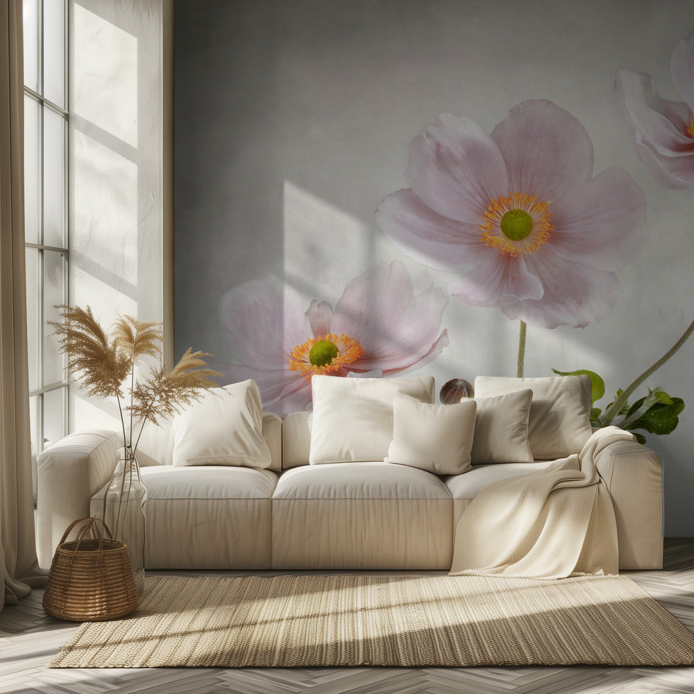 Anemonen | Fotobehang