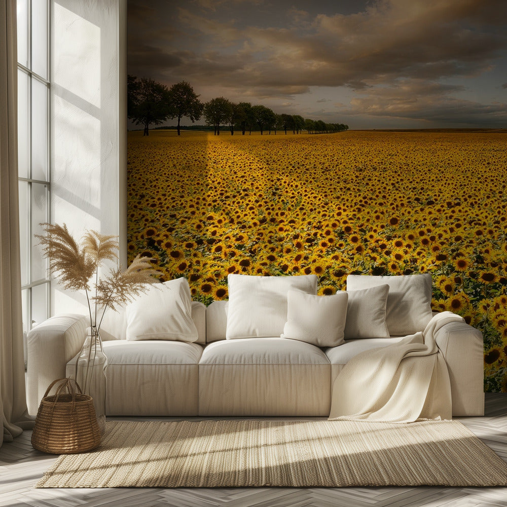 Zonnebloemen | Fotobehang