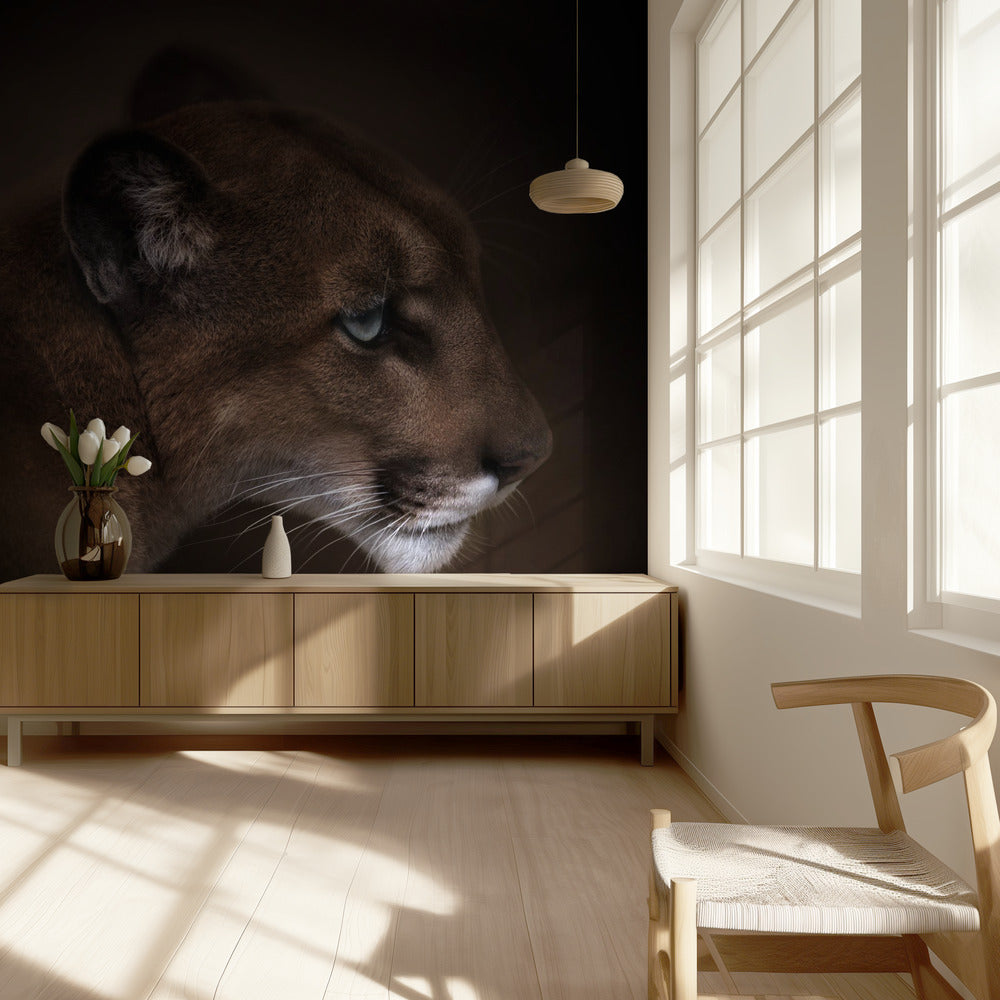 Puma | Carta da Parati Fotografica
