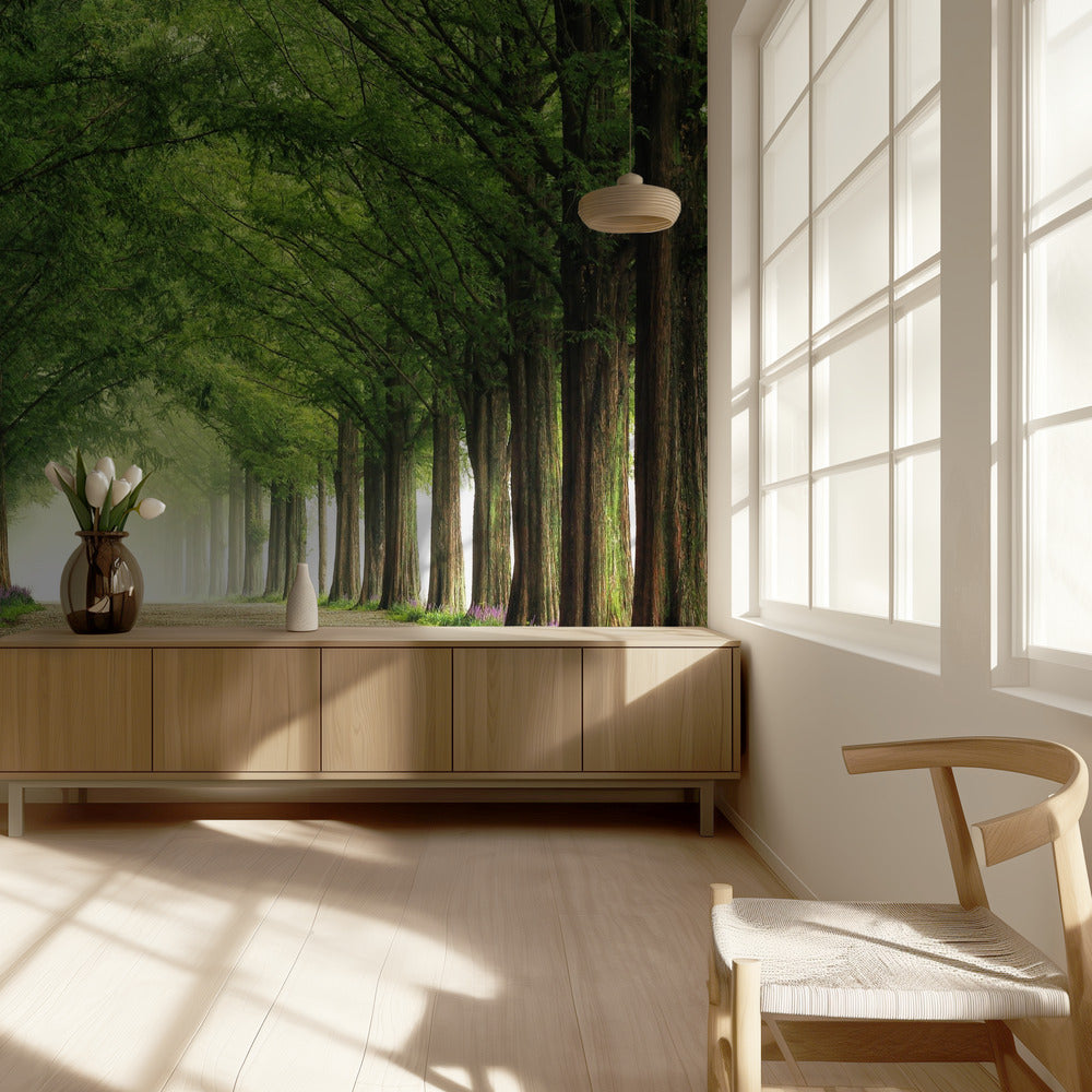 Metasequoia-Straße | Fototapeten