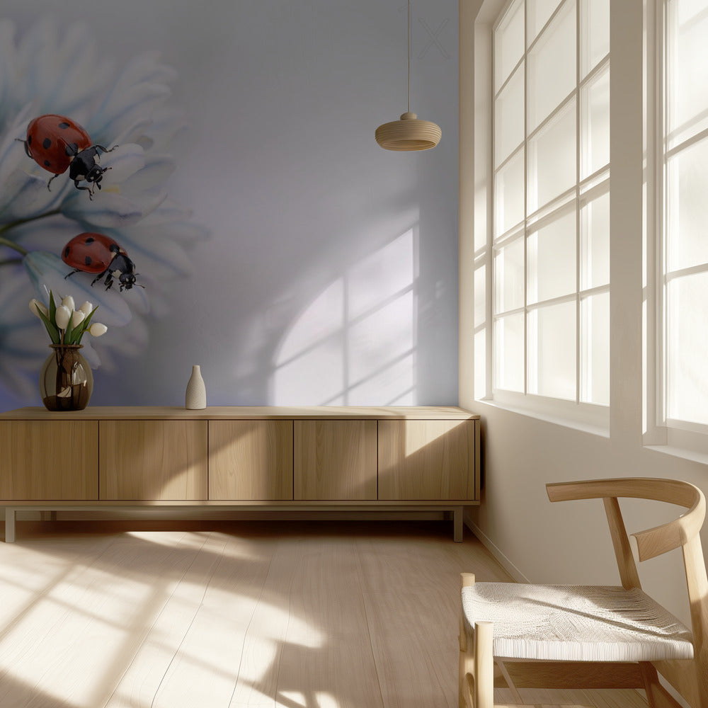 Coccinelles | Papier Peint Photo