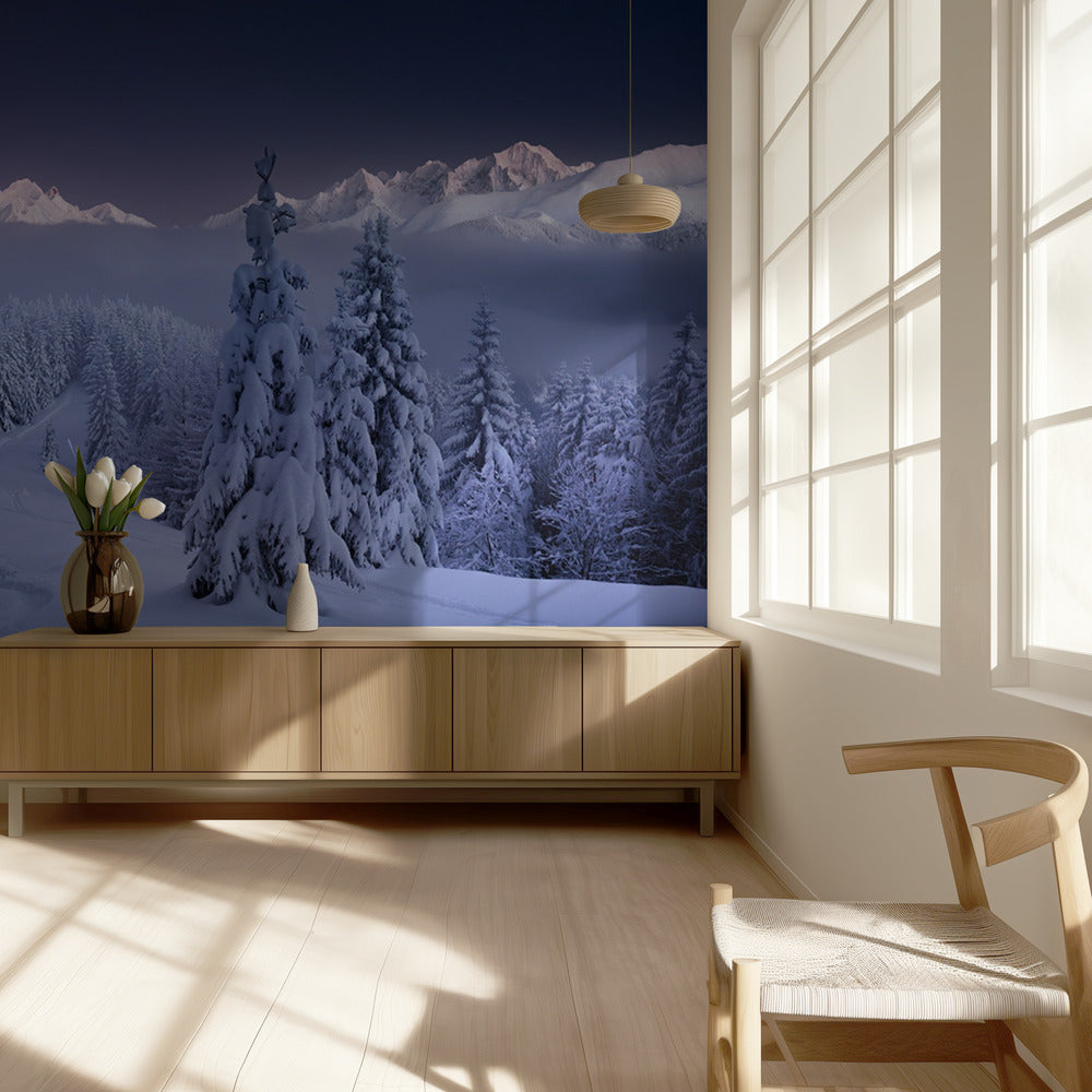 Im Winter | Fototapeten